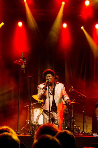 2012-06-28 - Charles Bradley and His Extraordinaires at Peace & Love, Borlänge