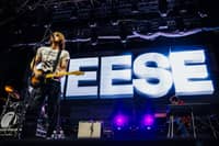 2026-08-14 - Geese från Way Out West, Göteborg